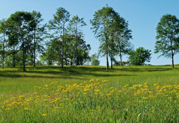 20 Mind-blowing Spring Wallpaper for Desktop 3