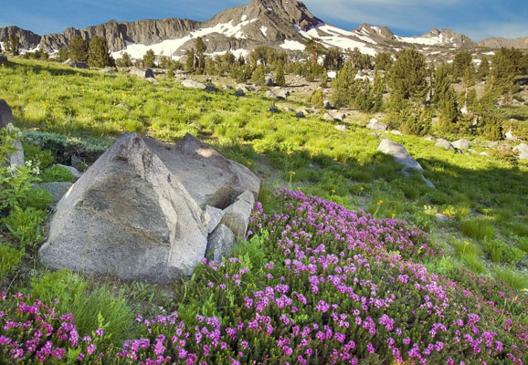 20 Mind-blowing Spring Wallpaper for Desktop 5