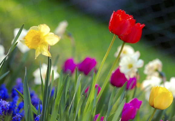 20 Mind-blowing Spring Wallpaper for Desktop 6