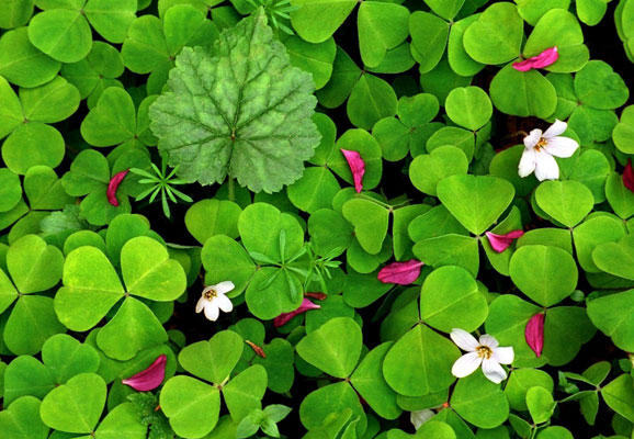 20 Mind-blowing Spring Wallpaper for Desktop 8