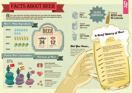 25 Awesome Infographic Designs 24