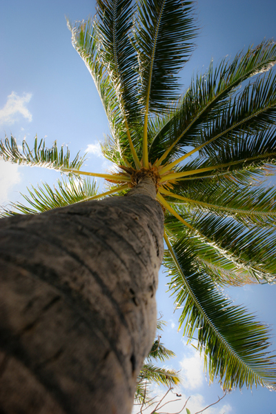 50 Stunning iPhone 4 Wallpapers 7