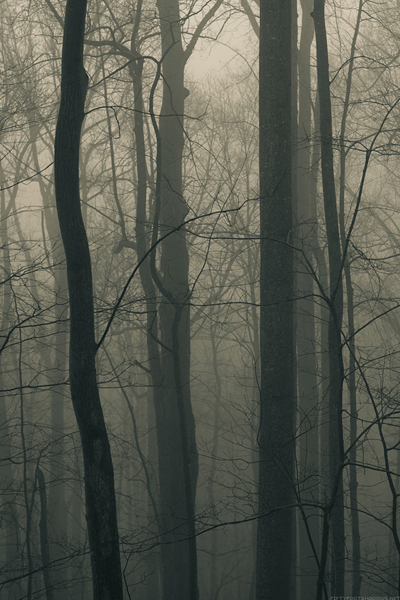 50 Stunning iPhone 4 Wallpapers 30