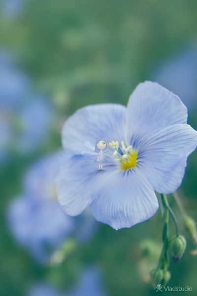 50 Stunning iPhone 4 Wallpapers 33