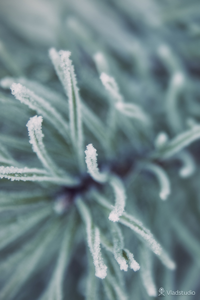 50 Stunning iPhone 4 Wallpapers 39