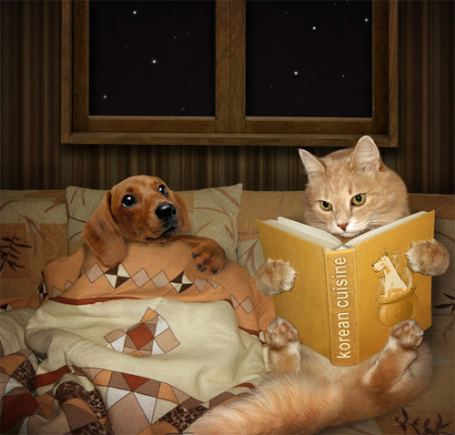 45 Creative And Inspiring Photographs 14