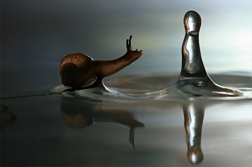 Amazing Photo Manipulation Arts 3