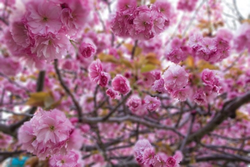 25+ New Photoshop CS6 Tutorials 21
