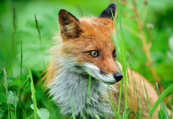 A Collection of 20 Beautiful Hi-resolution Free Desktop Wallpapers 1