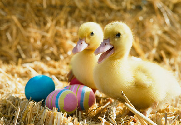 A Collection of 20 Beautiful Hi-resolution Free Desktop Wallpapers 15