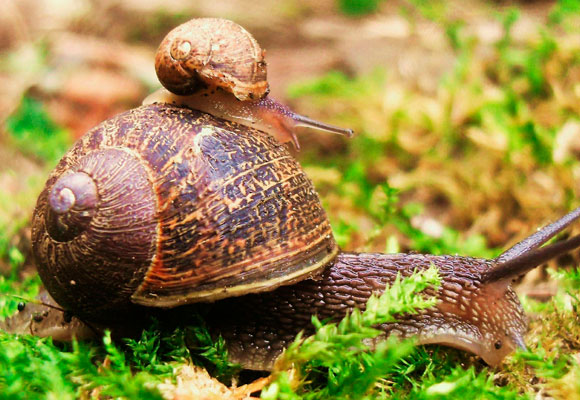 A Collection of 20 Beautiful Hi-resolution Free Desktop Wallpapers 2