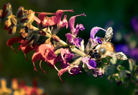 A Collection of 20 Beautiful Hi-resolution Free Desktop Wallpapers 3