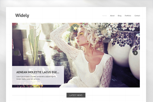 30 New Free High-Quality WordPress Themes 9