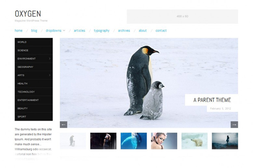30 New Free High-Quality WordPress Themes 12
