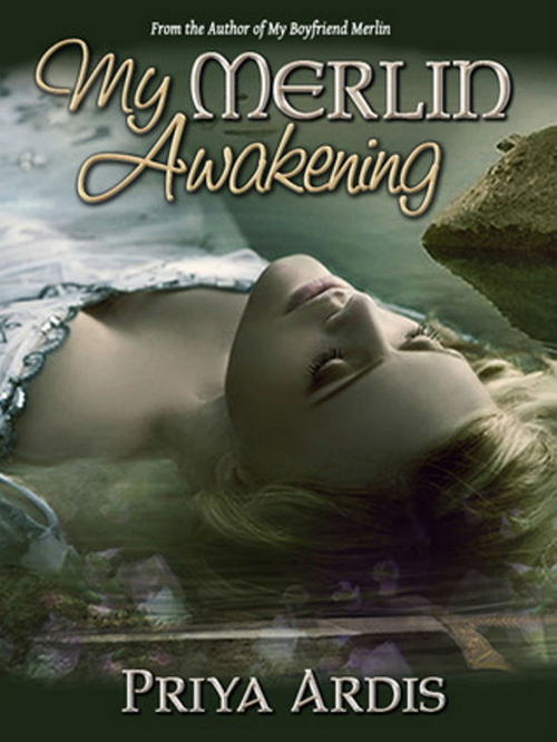 15 Book Cover Arts Inspiration That Should Be Used As Movie Posters 11