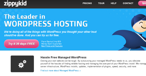 10 Best Options for Managed WordPress Hosting 3