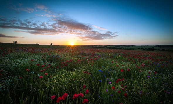 50+ Stunning MacBook Pro Retina Wallpapers 11