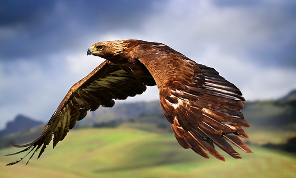 50+ Stunning MacBook Pro Retina Wallpapers 38