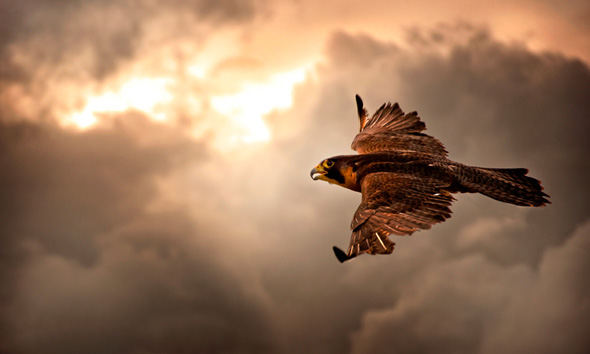 50+ Stunning MacBook Pro Retina Wallpapers 8