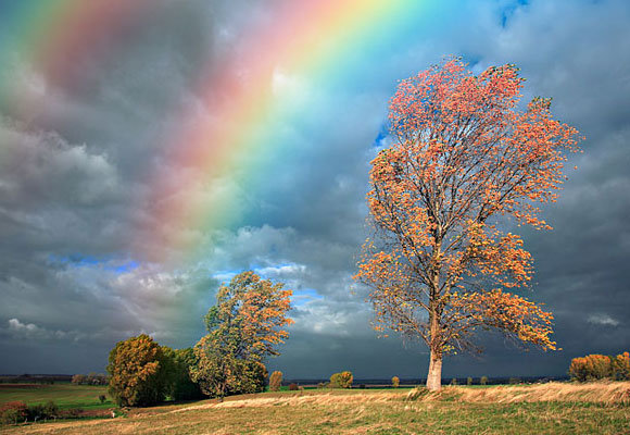 20 Photoshop Tutorials for Magnificent Photo Effects 1