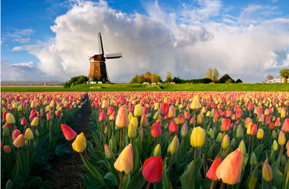 20 Photoshop Tutorials for Magnificent Photo Effects 7