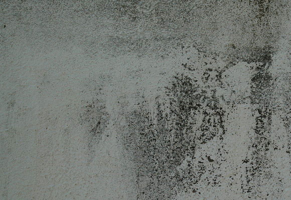 40 Useful Collection of Free Stucco textures for Designers 10