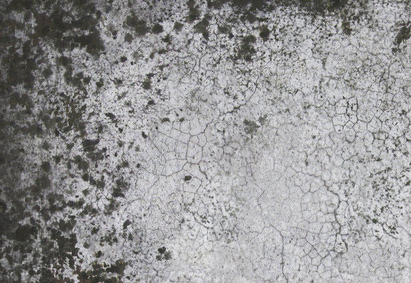 40 Useful Collection of Free Stucco textures for Designers 13