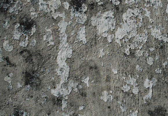 40 Useful Collection of Free Stucco textures for Designers 3