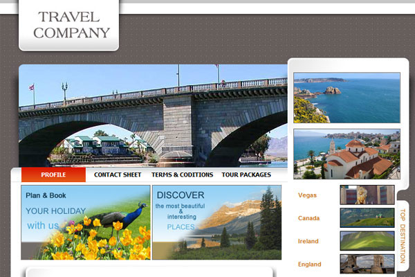 20 Best Free Travel Website Template 5