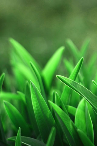 20 Stunning iPhone5 HD Wallpapers 16