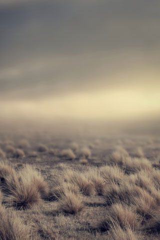 20 Stunning iPhone5 HD Wallpapers 4
