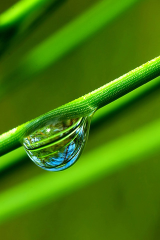 20 Stunning iPhone5 HD Wallpapers 5