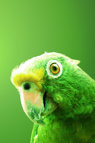 20 Stunning iPhone5 HD Wallpapers 9