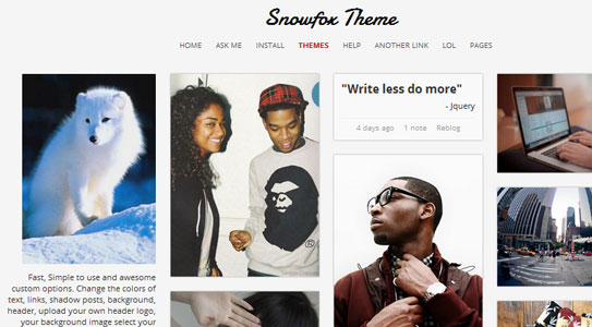 5 of the Best Premium Pinterest like Themes 3