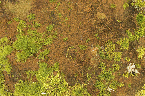 20 Free Fascinating High Resolution Textures and Backgrounds 9