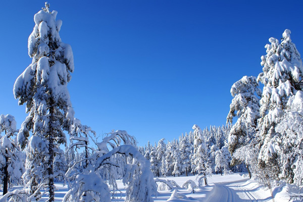 20 Beautiful Winter Wallpaper for Desktop 1