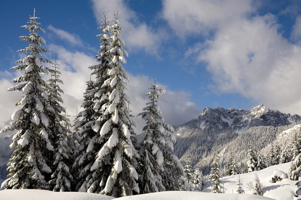 20 Beautiful Winter Wallpaper for Desktop 2