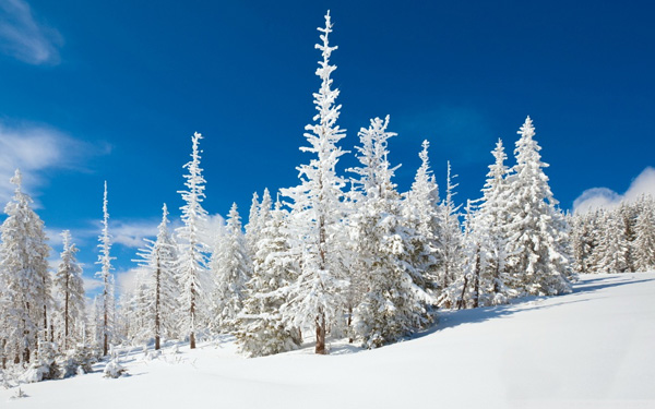20 Beautiful Winter Wallpaper for Desktop 3
