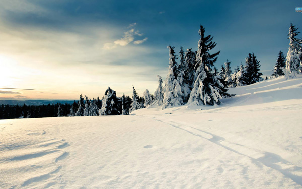 20 Beautiful Winter Wallpaper for Desktop 6