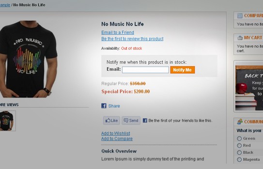 Avail Magento and Magento Extensions to Prosper Your Ecommerce Store 4