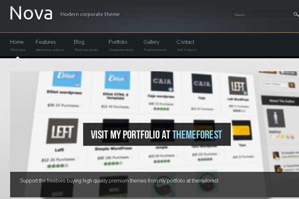 15 Beautiful Portfolio Website for Free Download 14