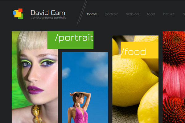 15 Beautiful Portfolio Website for Free Download 3
