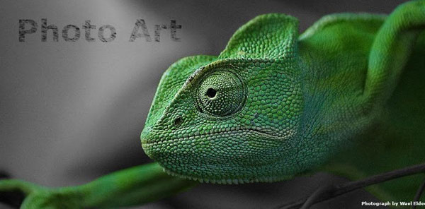 15 Useful Free Android Apps for Photo Editing and Design 3 15 Useful Free Android Apps for Photo Editing and Design 3