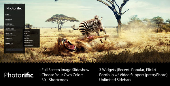 20 Perfect Premium WordPress Themes for Photographers 10 20 Perfect Premium WordPress Themes for Photographers 10