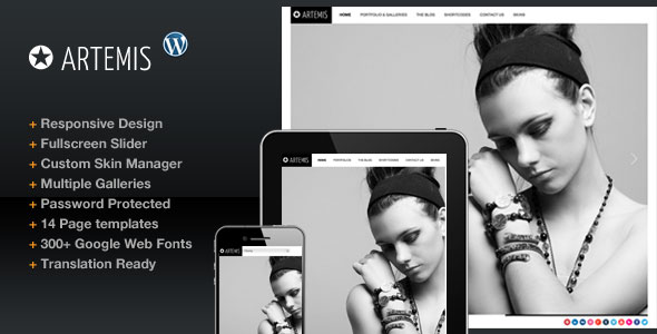 20 Perfect Premium WordPress Themes for Photographers 13 20 Perfect Premium WordPress Themes for Photographers 13
