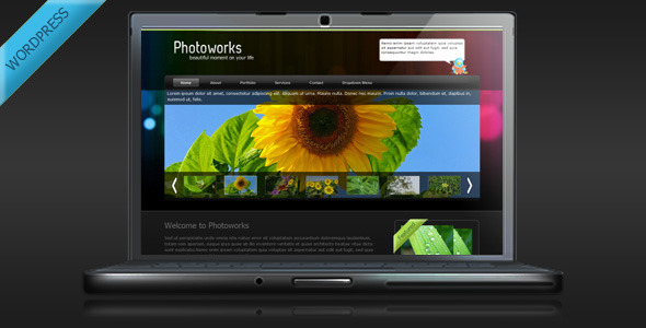20 Perfect Premium WordPress Themes for Photographers