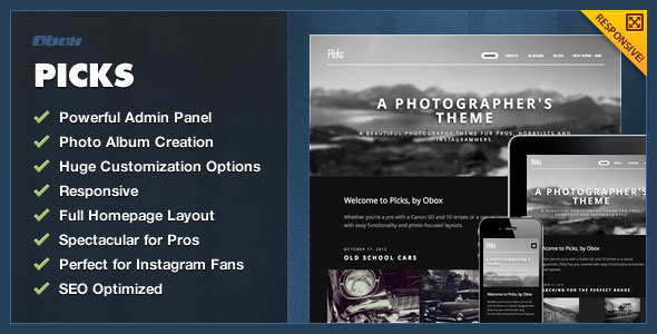 20 Perfect Premium WordPress Themes for Photographers 4 20 Perfect Premium WordPress Themes for Photographers 4