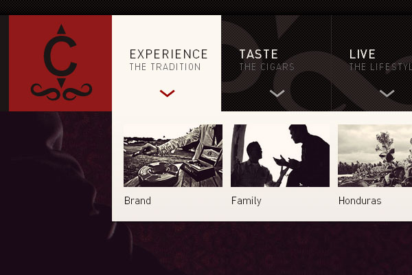 30 Most Famous Sites Built Using Wordpress 19