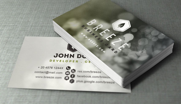 20 Magnificent Business Card PSD Templates for Free Download 14