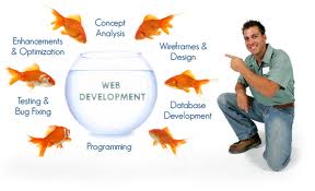 A Complete Guide & Worthy Tips on Hire Web Developer 5